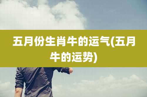 五月份生肖牛的运气(五月牛的运势)