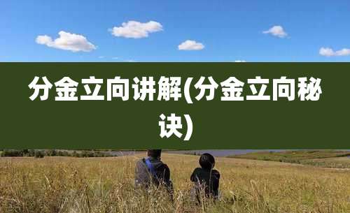 分金立向讲解(分金立向秘诀)