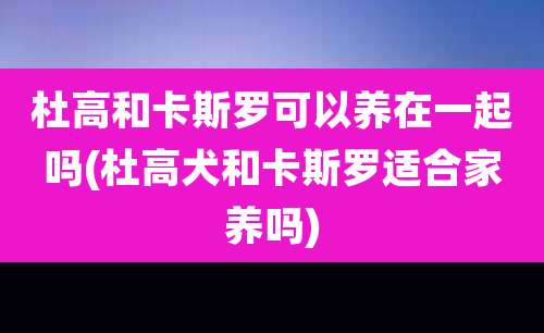 杜高和卡斯罗可以养在一起吗(杜高犬和卡斯罗适合家养吗)