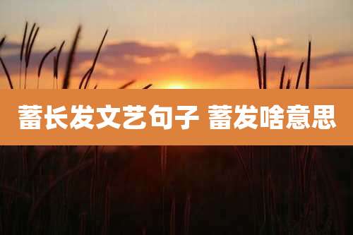 蓄长发文艺句子 蓄发啥意思