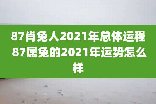 87肖兔人2021年总体运程 87属兔的2021年运势怎么样