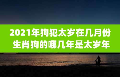 2021年狗犯太岁在几月份 生肖狗的哪几年是太岁年