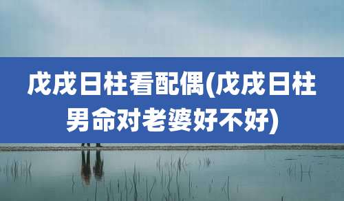 戊戌日柱看配偶(戊戌日柱男命对老婆好不好)
