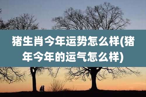 猪生肖今年运势怎么样(猪年今年的运气怎么样)