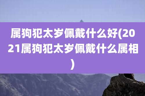 属狗犯太岁佩戴什么好(2021属狗犯太岁佩戴什么属相)