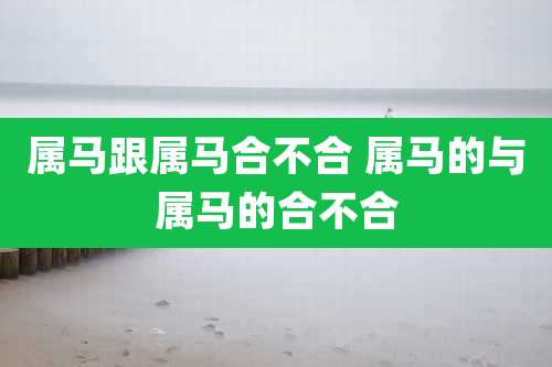 属马跟属马合不合 属马的与属马的合不合