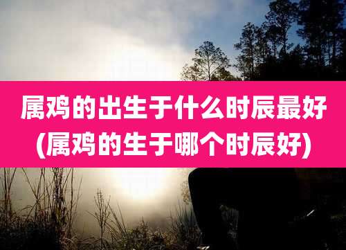 属鸡的出生于什么时辰最好(属鸡的生于哪个时辰好)