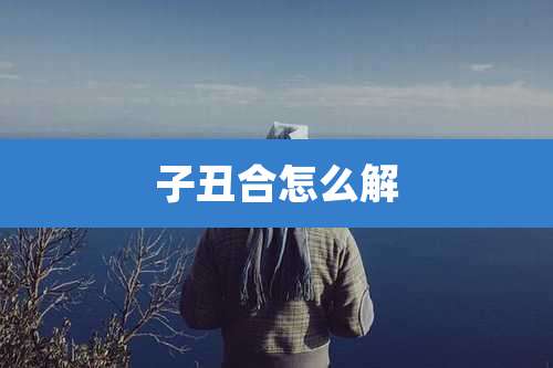 子丑合怎么解