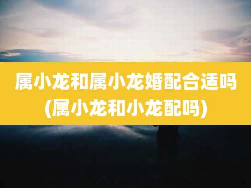 属小龙和属小龙婚配合适吗(属小龙和小龙配吗)
