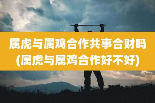 属虎与属鸡合作共事合财吗(属虎与属鸡合作好不好)