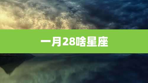 一月28啥星座