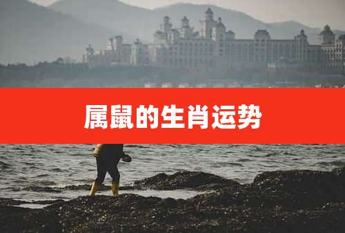 属鼠的生肖运势