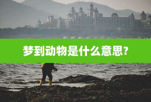 梦到动物是什么意思?
