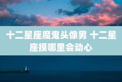 十二星座魔鬼头像男 十二星座摸哪里会动心