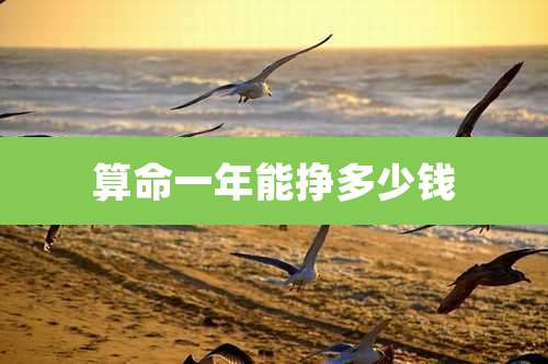 算命一年能挣多少钱