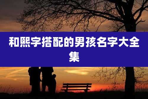 和熙字搭配的男孩名字大全集