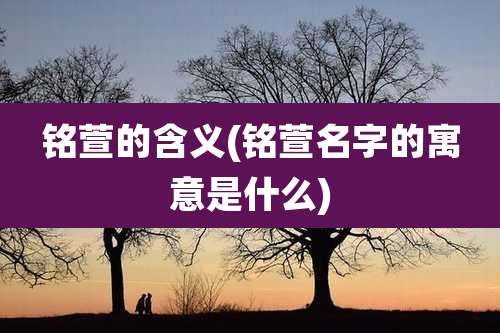 铭萱的含义(铭萱名字的寓意是什么)