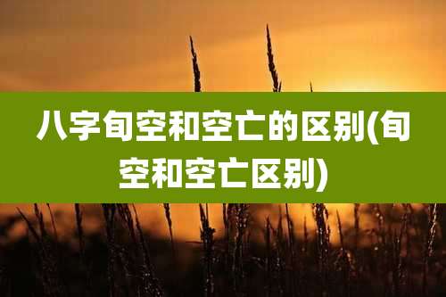 八字旬空和空亡的区别(旬空和空亡区别)