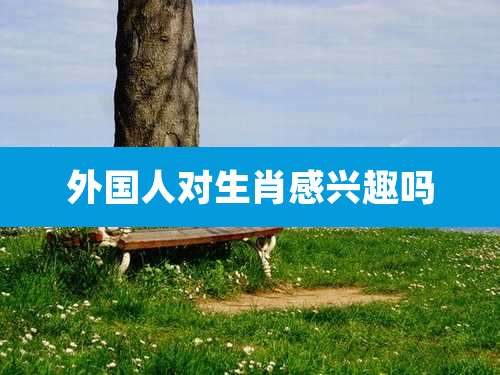 外国人对生肖感兴趣吗