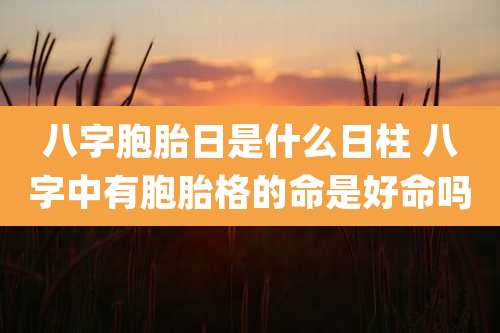八字胞胎日是什么日柱 八字中有胞胎格的命是好命吗