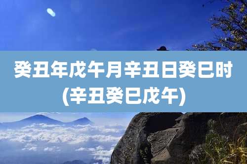 癸丑年戊午月辛丑日癸巳时(辛丑癸巳戊午)