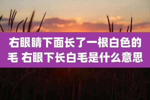 右眼睛下面长了一根白色的毛 右眼下长白毛是什么意思