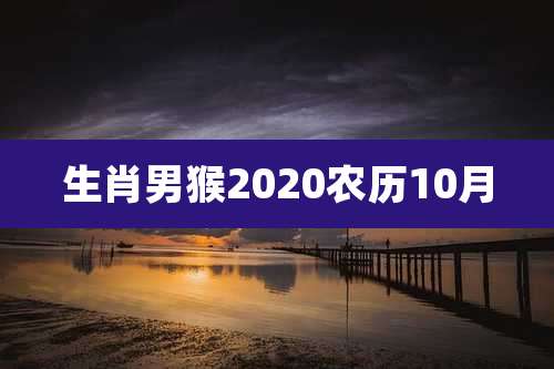 生肖男猴2020农历10月