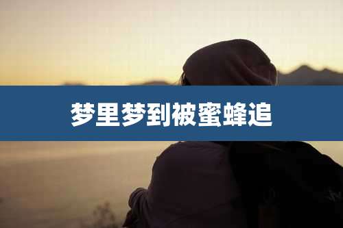 梦里梦到被蜜蜂追