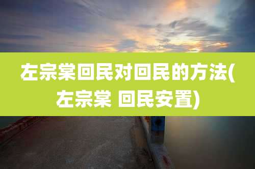 左宗棠回民对回民的方法(左宗棠 回民安置)