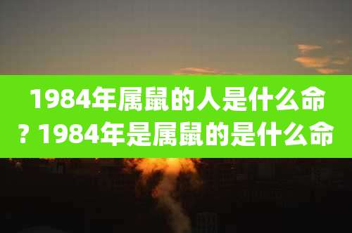 1984年属鼠的人是什么命? 1984年是属鼠的是什么命