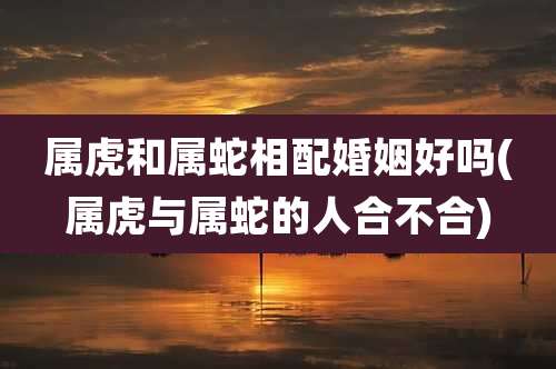 属虎和属蛇相配婚姻好吗(属虎与属蛇的人合不合)