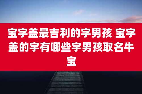 宝字盖最吉利的字男孩 宝字盖的字有哪些字男孩取名牛宝