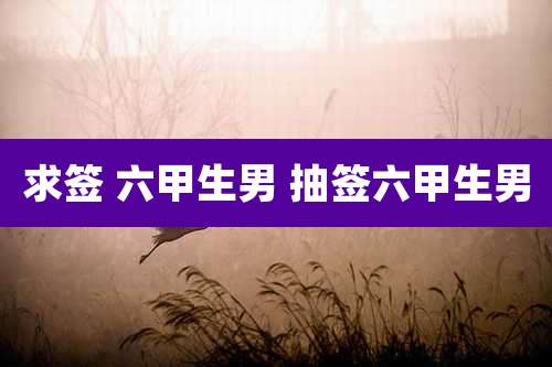 求签 六甲生男 抽签六甲生男