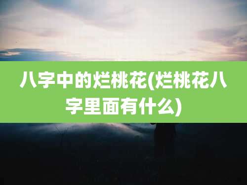八字中的烂桃花(烂桃花八字里面有什么)