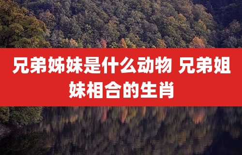 兄弟姊妹是什么动物 兄弟姐妹相合的生肖