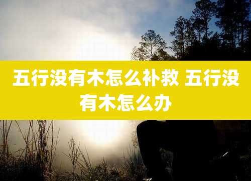 五行没有木怎么补救 五行没有木怎么办