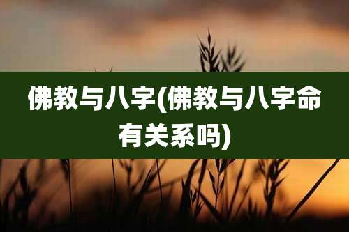 佛教与八字(佛教与八字命有关系吗)