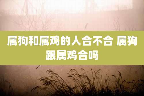 属狗和属鸡的人合不合 属狗跟属鸡合吗