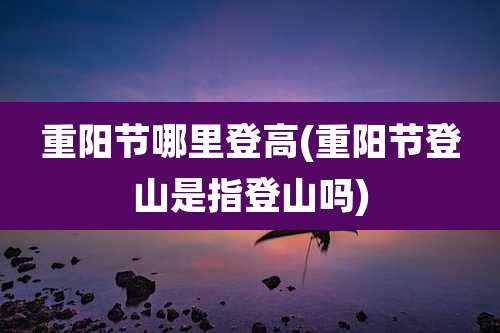 重阳节哪里登高(重阳节登山是指登山吗)