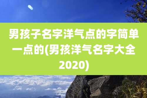 男孩子名字洋气点的字简单一点的(男孩洋气名字大全2020)