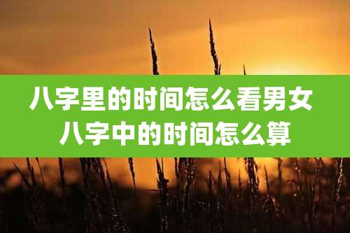 八字里的时间怎么看男女 八字中的时间怎么算