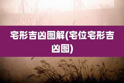 宅形吉凶图解(宅位宅形吉凶图)