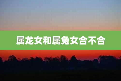 属龙女和属兔女合不合