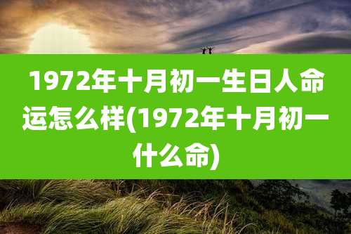 1972年十月初一生日人命运怎么样(1972年十月初一什么命)
