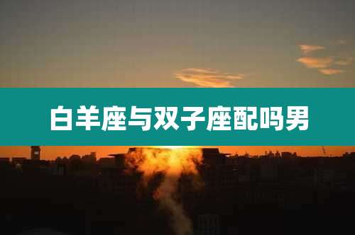 白羊座与双子座配吗男