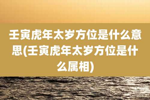 壬寅虎年太岁方位是什么意思(壬寅虎年太岁方位是什么属相)