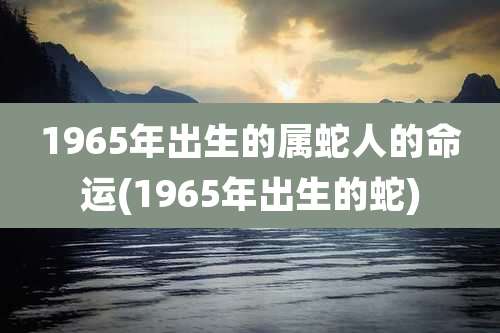 1965年出生的属蛇人的命运(1965年出生的蛇)