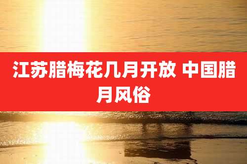 江苏腊梅花几月开放 中国腊月风俗