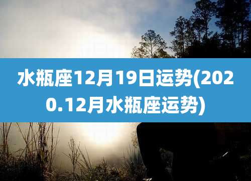 水瓶座12月19日运势(2020.12月水瓶座运势)