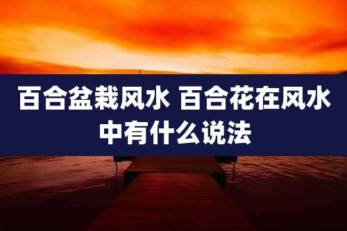 百合盆栽风水 百合花在风水中有什么说法